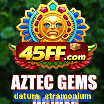 datura stramonium medicinal uses